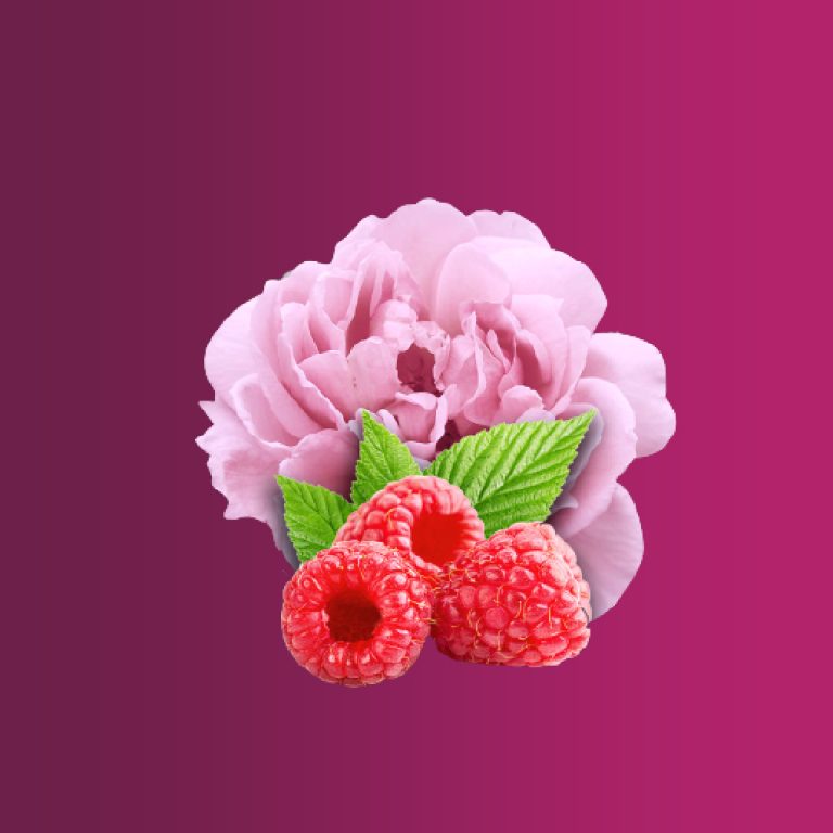 promo-banner-image