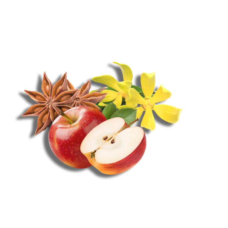 promo-banner-image